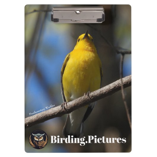 Birding.Afbeeldingen Klembord (Voorkant)