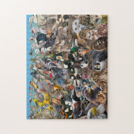 Birding Big Year Legpuzzel