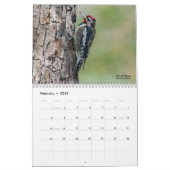 Birding for Woodpeckers Calendar 2022 Kalender (Feb 2026)