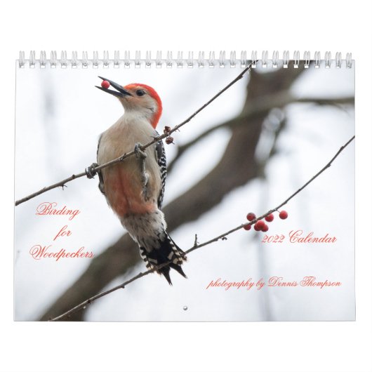 Birding for Woodpeckers Calendar 2022 Kalender (Hoes)