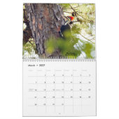Birding for Woodpeckers Calendar 2022 Kalender (Mar 2027)