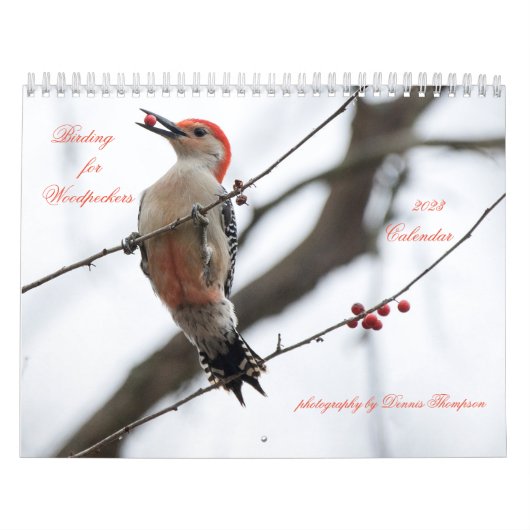 Birding for Woodpeckers Calendar 2023 Kalender (Hoes)