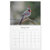 Birding in Arizona Calendar 2022 Kalender (Feb 2027)