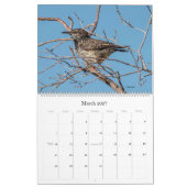 Birding in Arizona Calendar 2022 Kalender (Mar 2027)