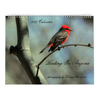 Birding in Arizona Calendar 2022 Kalender