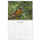 Birding in Arizona Calendar 2022 Kalender (Jan 2026)