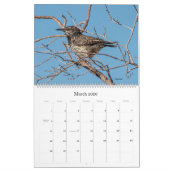 Birding in Arizona Calendar 2022 Kalender (Mar 2026)