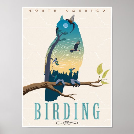 Birding in Noord-Amerika Poster (Voorkant)