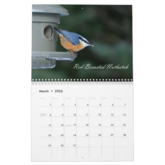 Birding Kalender (Mar 2026)