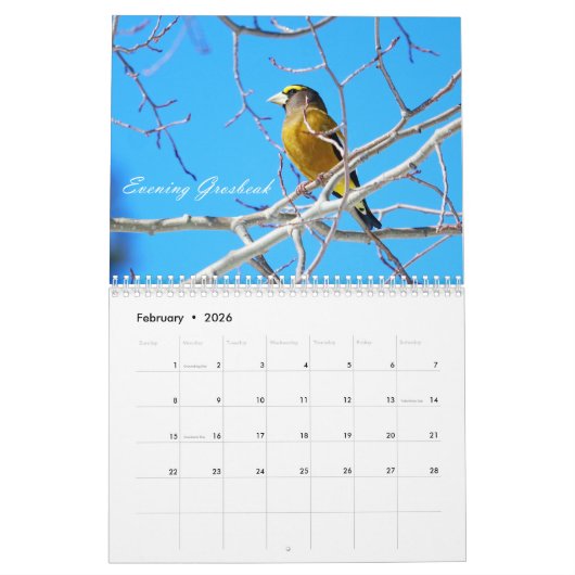 Birding Kalender (Feb 2026)