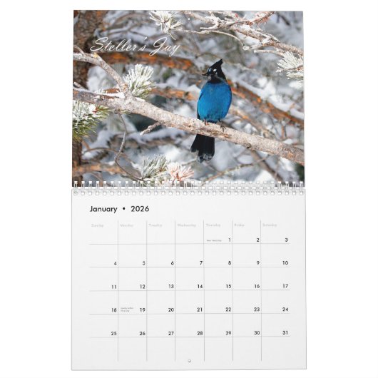 Birding Kalender (Jan 2026)