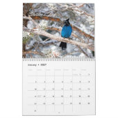 Birding Kalender (Jan 2027)