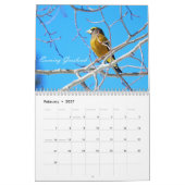 Birding Kalender (Feb 2027)