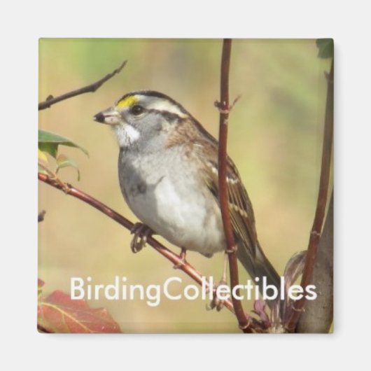 BirdingCollectibles Magnet (Voorkant)