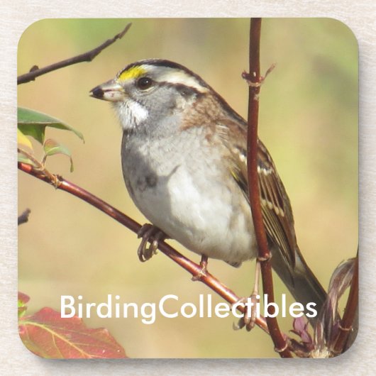 BirdingCollectibles Onderzetter (Voorkant)