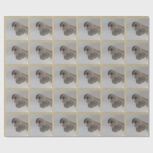 Birdlovers Cadeaupapier (Vlak)