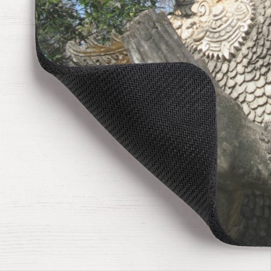 Birdman Wai ... Nong Khai, Isaan, Thailand Muismat (Hoek)