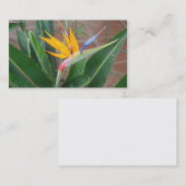 birdofparadijselijke visitekaartjes (Voorkant / Achterkant)