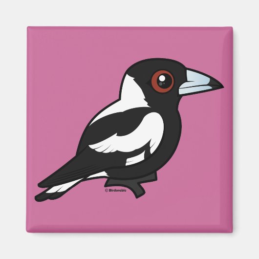 Birdorable Australian Magpie Magneet (Voorkant)