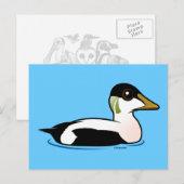 Birdorable Common Eider Briefkaart (Voorkant / Achterkant)
