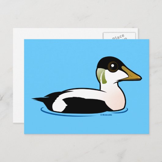 Birdorable Common Eider Briefkaart (Voorkant / Achterkant)