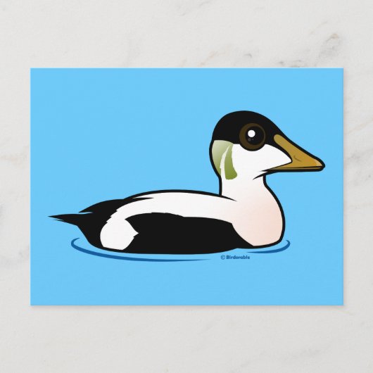 Birdorable Common Eider Briefkaart (Voorkant)