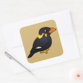Birdorable Common Hill Myna Vierkante Sticker (Envelop)