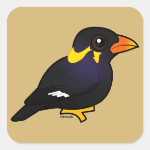 Birdorable Common Hill Myna Vierkante Sticker