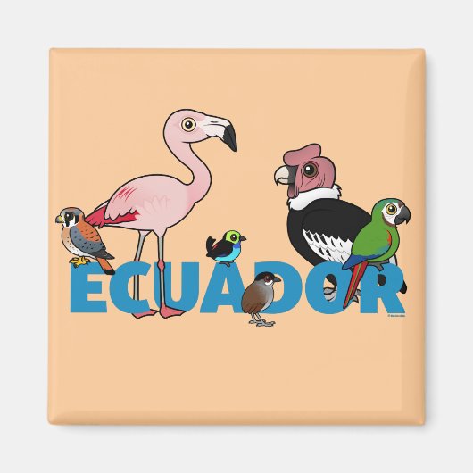 Birdorable Ecuador Magneet (Voorkant)