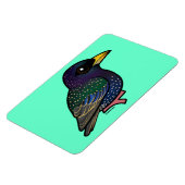 Birdorable European Starling Magneet (Linkerzijde)