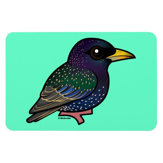 Birdorable European Starling Magneet (Horizontaal)