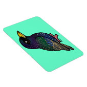 Birdorable European Starling Magneet (Rechterzijde)