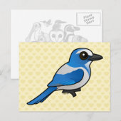 Birdorable Florida Scrub-Jay Briefkaart (Voorkant / Achterkant)