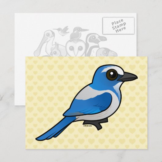 Birdorable Florida Scrub-Jay Briefkaart (Voorkant / Achterkant)