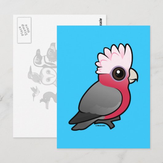 Birdorable Galah Briefkaart (Voorkant / Achterkant)