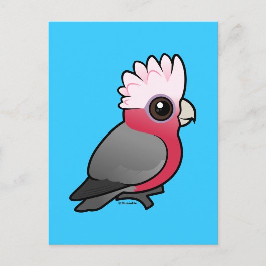 Birdorable Galah Briefkaart (Voorkant)