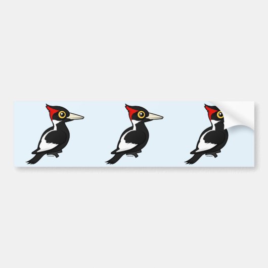 Birdorable Ivory-billing Woodpecker Bumpersticker (Voorkant)