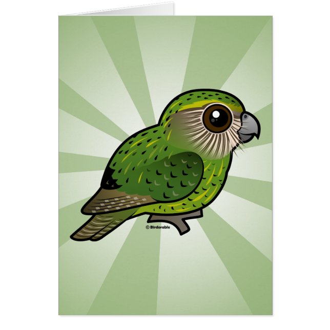 Birdorable Kakapo (Voorkant)