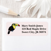 Birdorable Keel-billing Toucan Etiket (Insitu)