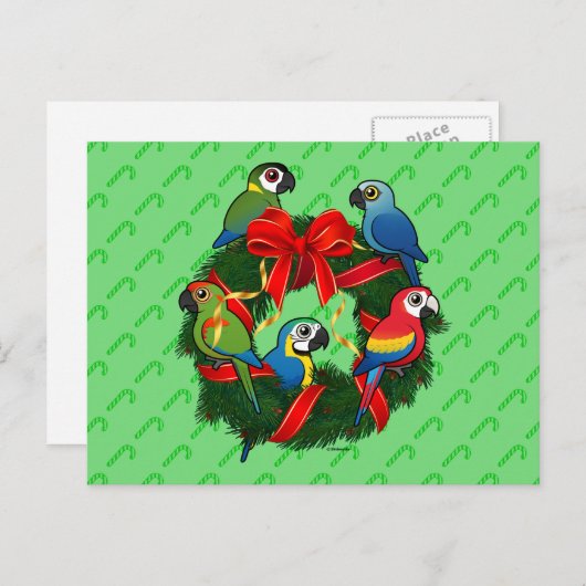 Birdorable Macaws Kerstmis Feestdagenkaart (Voorkant / Achterkant)