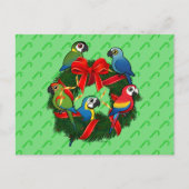 Birdorable Macaws Kerstmis Feestdagenkaart (Voorkant)