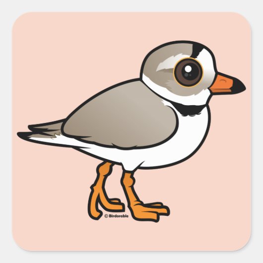 Birdorable Piping Plover Vierkante Sticker (Voorkant)
