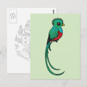 Birdorable Resplendent Quetzal Briefkaart (Voorkant / Achterkant)