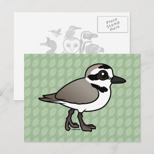 Birdorable Snowy Plover Briefkaart (Voorkant / Achterkant)