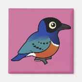 Birdorable Superb Starling Magneet (Voorkant)