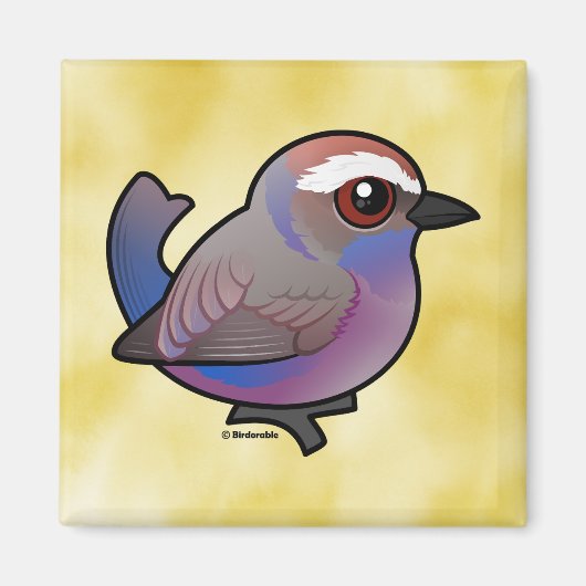 Birdorable Wit-browed Tit-Warbler Magneet (Voorkant)