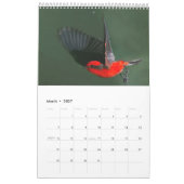 Birds 2017 Wildlife Wall Calendar Kalender (Mar 2027)