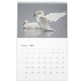 Birds 2017 Wildlife Wall Calendar Kalender (Jan 2027)
