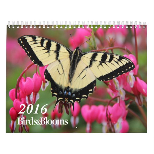 Birds and Blooms 2016 Calendar Kalender (Hoes)