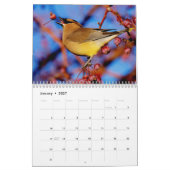 Birds and Blooms 2016 Calendar Kalender (Jan 2027)